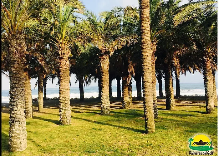 Palmeras Del Golf - Torrequebrada